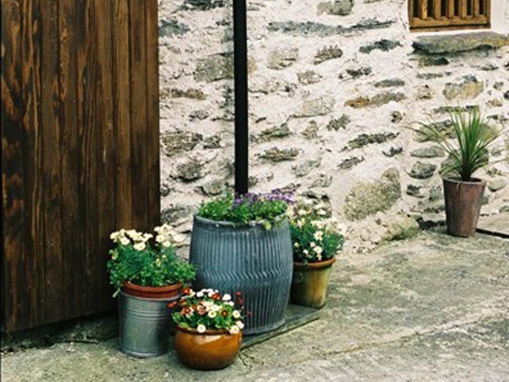 Plasglasgwm Betws-y-Coed Bilik gambar